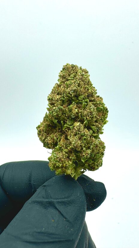 Lemon Tonic Hanfblüten – Erfrischendes Zitronenaroma mit entspannender Wirkung